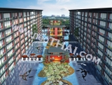 25  2014 Arcadia Beach Imperial -    